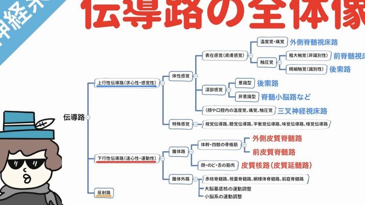 董路无画面解说，水平真的好吗？